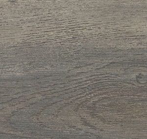 Canyon Oak‏‏