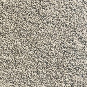 Carpet 01